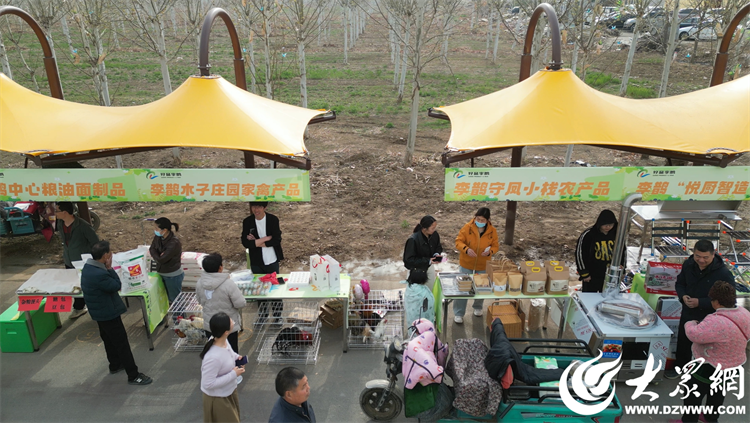 匠心傳承，共富同行 廣饒縣李鵲鎮“好品李鵲共富市集”上的麥秸畫藝術