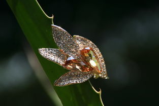 歌詩莉飾品 麥秸畫藝術點亮店鋪裝修，展現獨特產品魅力